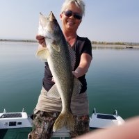 Tonya Eastman (@tonyageastman) 's Twitter Profile