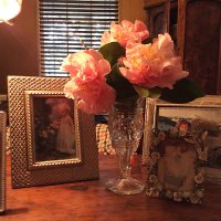 Jennie Zipperer (@jenniezipp68518) 's Twitter Profile Photo Jennie Zipperer (@jenniezipp68518) 's Twitter Profile Photo