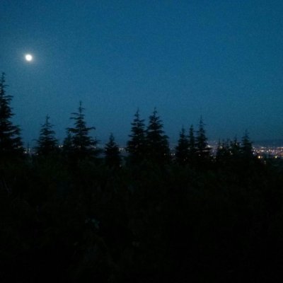 MehmetKaraerik's profile picture. 