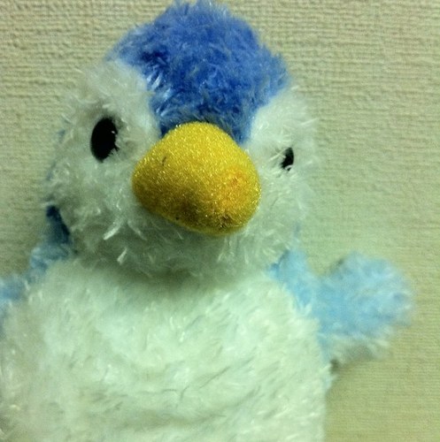 KotaniYasushi's profile picture. 