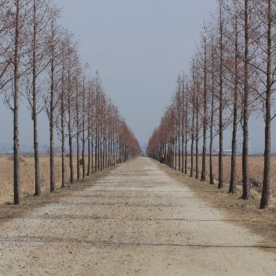 yeandu's profile picture. 