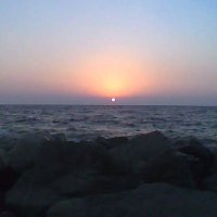 Mr.Mohammad# (@zaatar4mohammad) 's Twitter Profile