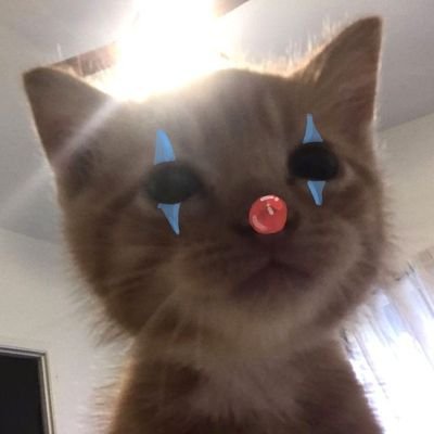 a verdadeira arte é apenas um reflexo do
sentimento de quem a contempla.˚✧ˎ