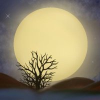 Xia Moon (@xiamoon_nft) 's Twitter Profile
