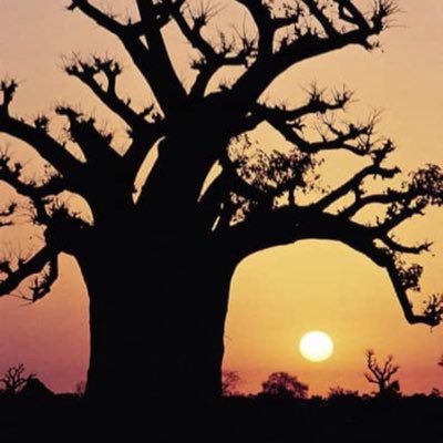 Alhamdoulilah | Positive vibes |Gestion des déchets| Transporteur| Philanthrope| Maman 💪🏾👩🏾🦱 Twitter are mine. RTs ≠ endorsments.