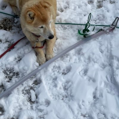 rrry01221's profile picture. 