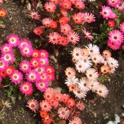 RaiseTech受講生(デザイン23.6/WP24.1)
Webデザインを勉強中です。未経験0からのスタートです。宜しくお願いします!