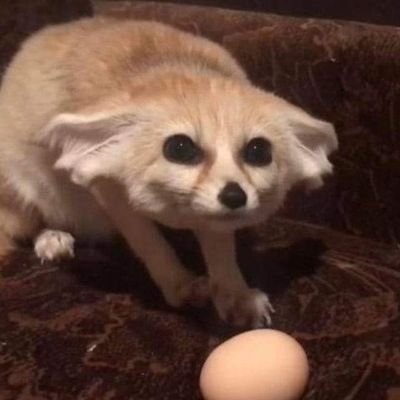 DixyeB's profile picture. somnolencia