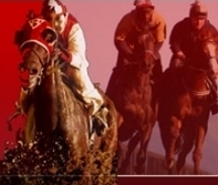 Achieving a profitable income from horse racing, good systems/methods, bots and through affiliate marketing. Together we CAN do more!