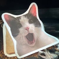 ItsMeBaby (@badfersuree) 's Twitter Profile