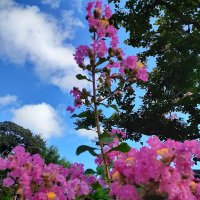 さるなし (@sarunashi245867) Twitter profile photo