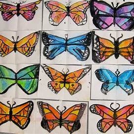 HassanNur529677's profile picture. I love the sound of a revving engine. #TrackCars #CarExhibition #CarFinance