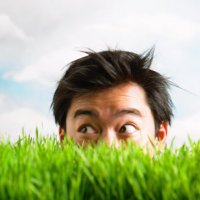 Dennis Yang (@sinned) 's Twitter Profile