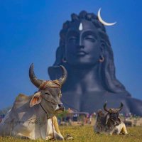 Hindu Gaurav (@hindugauravpra1) 's Twitter Profile