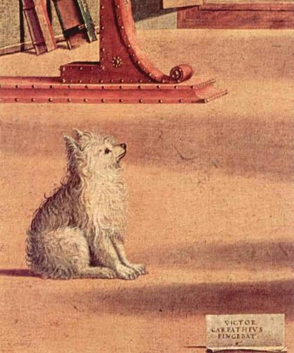 tylerwittman's profile picture. Occasionally on twitter to eavesdrop on some of you and follow @dallasstars hockey. Theology prof @nobts