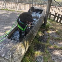 Herr Theolino - 📯  Guten-Morgen Minister (@herrtheolino) Twitter profile photo