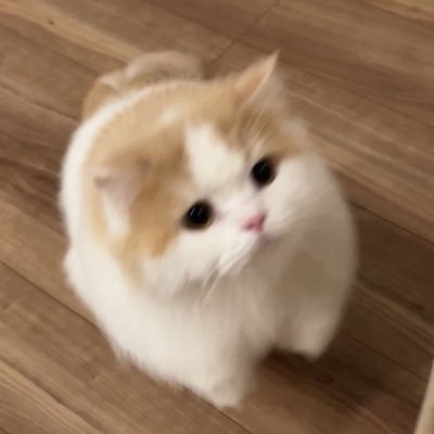 B_aitoeyy's profile picture. 