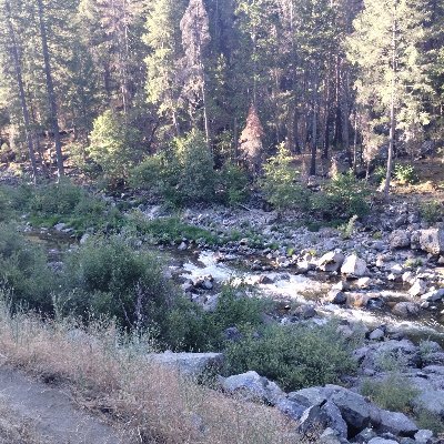 Sarawintersend's profile picture. 