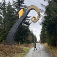 Lisa Gerzen (@lisagerzen) 's Twitter Profile