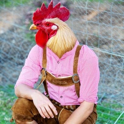 MisterPoules Profile Picture