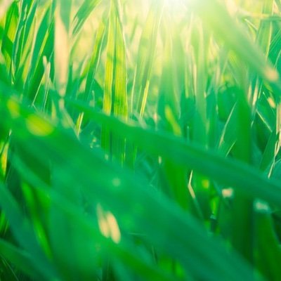 digitalformat's profile picture. 