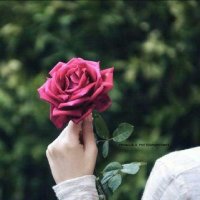 شـروق🦋 (@k_2030ii) 's Twitter Profile