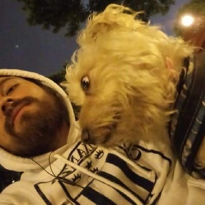 ALiancista e Ingeniero una sola pasión