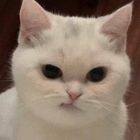 히로 (@x_hero_) 's Twitter Profile