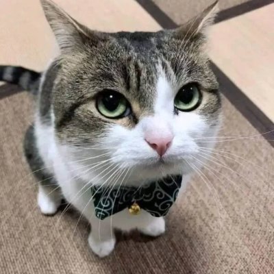 R1DMGame's profile picture. R1DM: A Roblox first-person 1v1 shooter coming Q2 2026? who knows