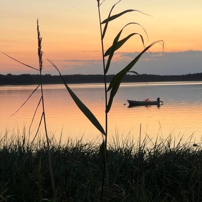 rejoiceallearth's profile picture. Seek God first                https://t.co/kwKtzD93cs