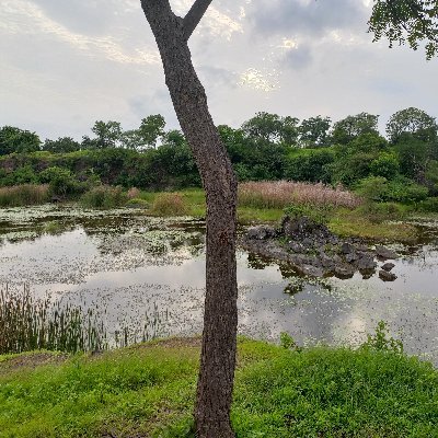 Juikulkarni80's profile picture. Writer,Painter,Poet,Reviewer.