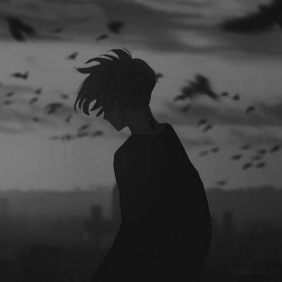 CriptoSonmez's profile picture. 