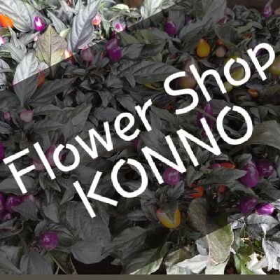 京急逗子・葉山駅北口の生花店です！09:30～20:00 季節感を大切に新鮮な花を取り揃えてます。T6021002068506 #企業公式相互フォロー 
Instagram… https://t.co/cxlXnsvCN3
