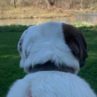 AWadz (@andywadsworth68) 's Twitter Profile