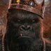 King_Shad😎 (@the_onlyshad) Twitter profile photo King_Shad😎 (@the_onlyshad) Twitter profile photo