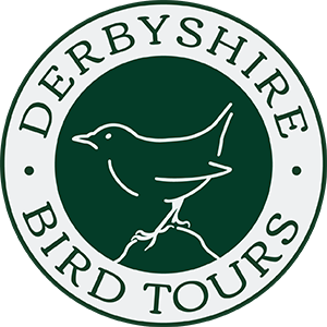 DerbyshireBT Profile Picture