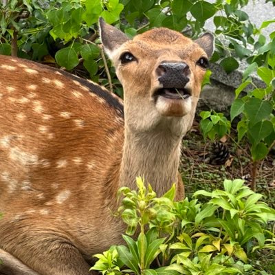 hikaemeesa's profile picture. 小説、ビジネス書、何でも読みます😊坂道グループ、ポケモンも好き‼️好奇心旺盛です。 コーヒー☕️中毒。