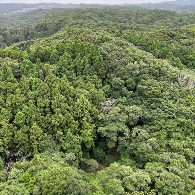 gtRE3V08E2VjMMd's profile picture. 