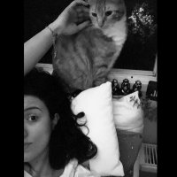 İlksen Artan 🐾 (@artanilksen) Twitter profile photo