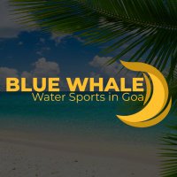 Blue Whale Goa(@bluewhalegoa) 's Twitter Profile Photo