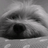 haneum911's profile image