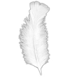 Lilmount's profile picture. Head of #Web and #SocialMedia @Mucem | ex @ArtsetMetiers | part of @Muzeonum | #Editorial #Digital #Content #MuseoGeek & ✚ ⎢☀ ⎢. ⎢