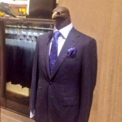 Tamizz0's profile picture. apenas um pássaro d terno