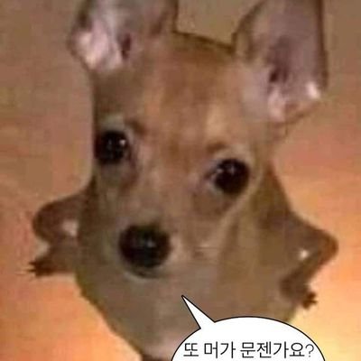 지지さんのプロフィール画像