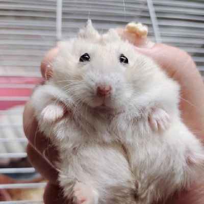 qw25386's profile picture. 