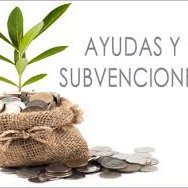 Servicios de administración, contabilidad e impuestos
Teléfono 635987015