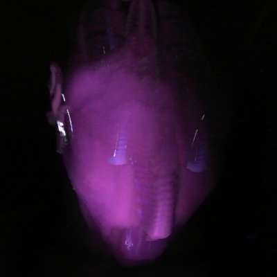 GarilleGF's profile picture. (18+) Artiste dans l'âme mais pas en pratique / Libido constamment à 100% (c'est un enfer) / Va voir un.e psy / J'ai pas de plateforme privée, devrais-je ?