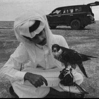 محمدعواد (@asdfh377e) Twitter profile photo