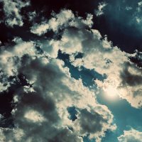 𓃵 (@ig_ensi) 's Twitter Profile