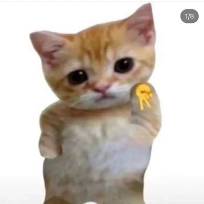 背さんのプロフィール画像